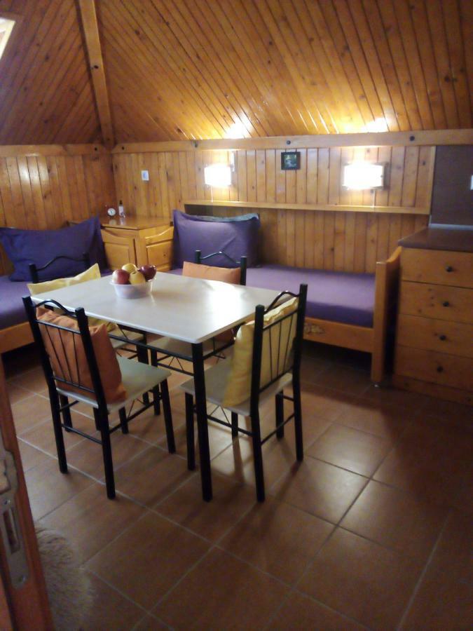 Doctor's House