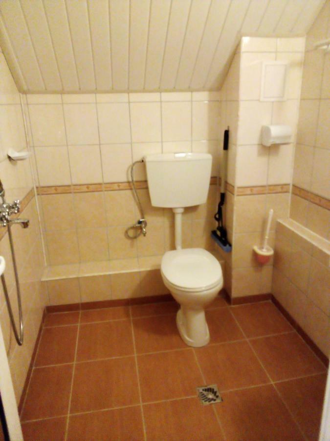 Guest house Doctor's House *